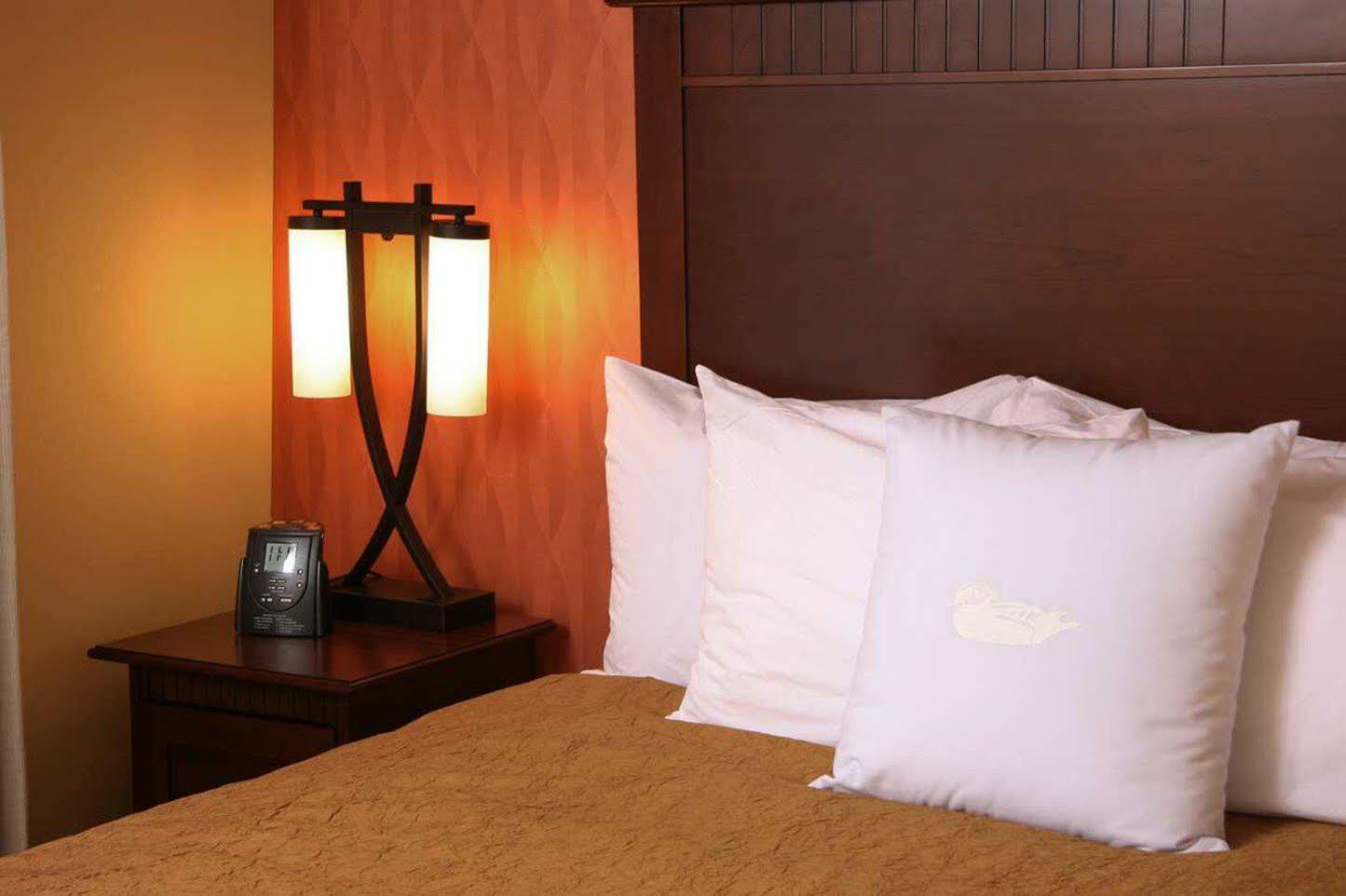 Homewood Suites By Hilton Denver International Airport Аврора Экстерьер фото